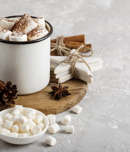 Gingerbread Hot Chocolate - Vegan Friendly